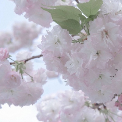 Furry赛博风格设计技巧FurryQQ群